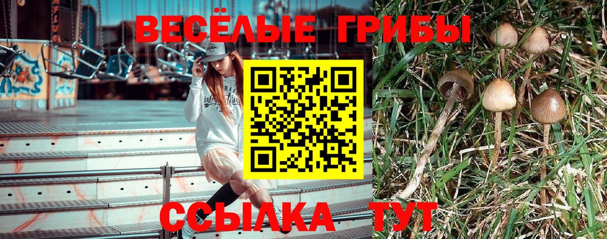 Галлюциногенные грибы GOLDEN TEACHER Карталы